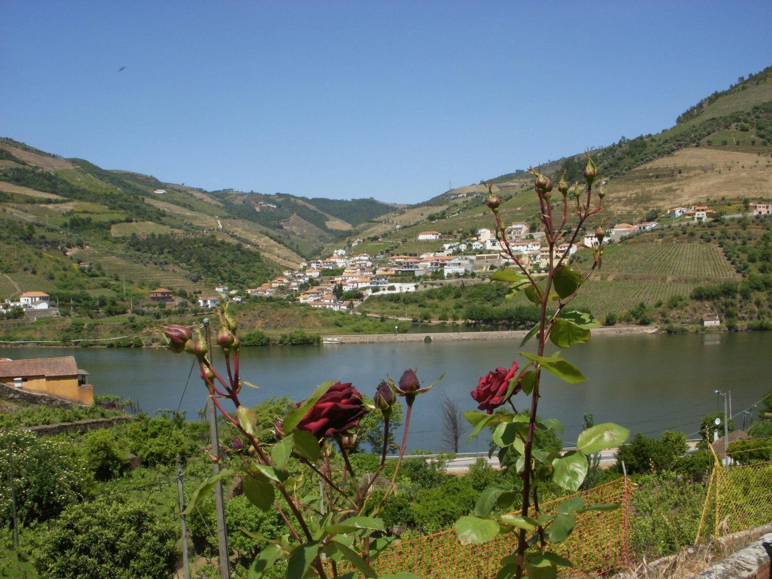 Quinta Da Azenha Otel Folgosa  Dış mekan fotoğraf
