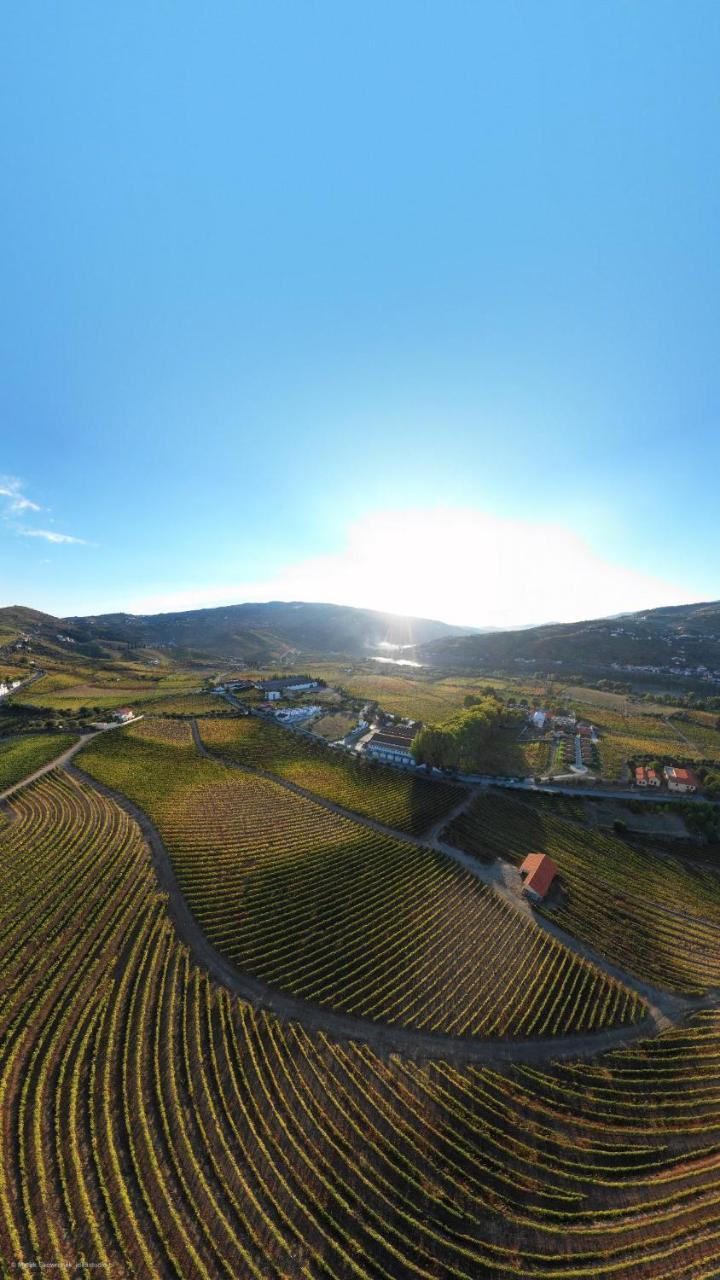 Quinta Da Azenha Otel Folgosa  Dış mekan fotoğraf
